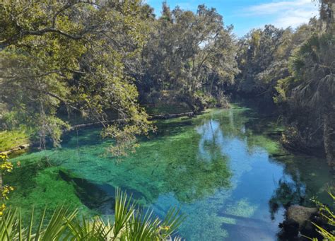 blue springs state park webcam|Live Streaming HD Webcam of Blue Spring State Park, USA